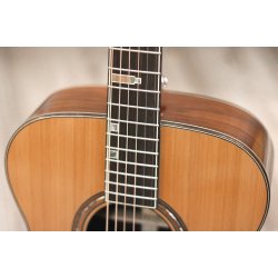 Fonzo V-201C OM Full Body